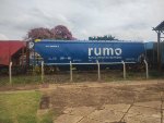 RUMO HTT-352496-5